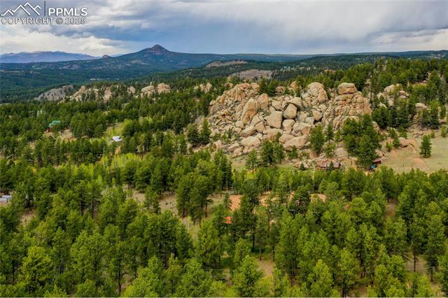MLS Image for 688  Obsidian  ,Florissant, Colorado