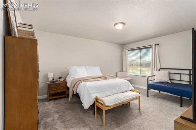 MLS Image for 11441  Piping Plover  ,Colorado Springs, Colorado