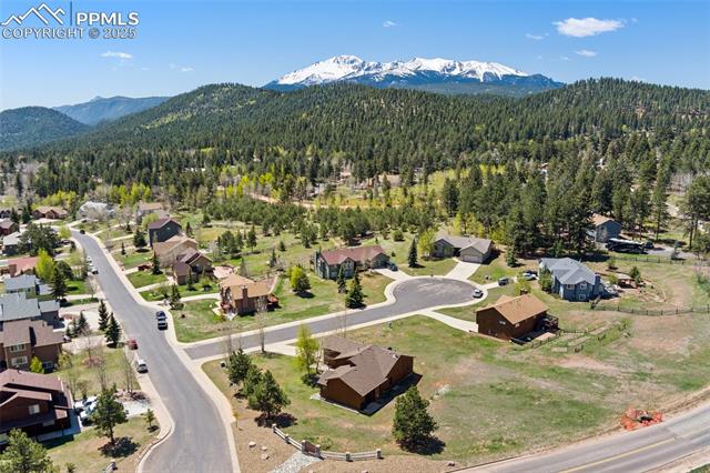 MLS Image for 802  Red Eagle  ,Woodland Park, Colorado