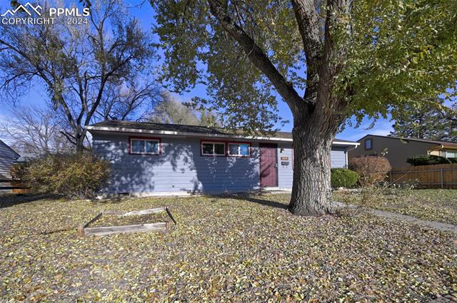 MLS Image for 2809  Lark  ,Colorado Springs, Colorado