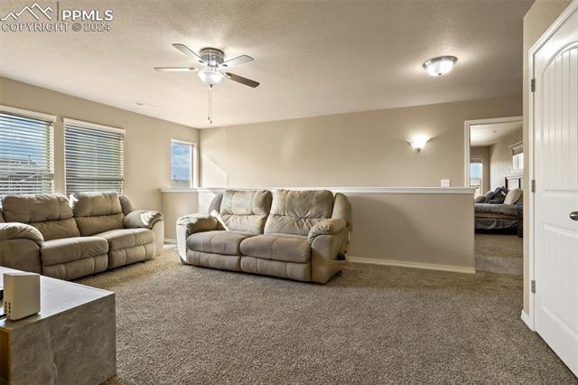 MLS Image for 7757  Crestone Peak  ,Colorado Springs, Colorado