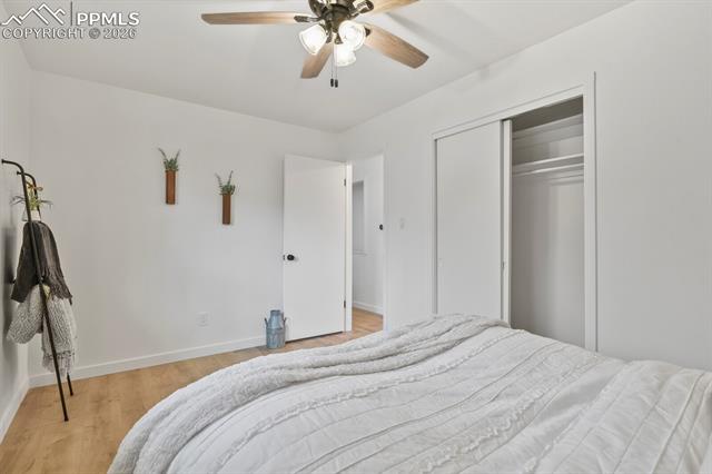 MLS Image for 167  Harvard  ,Colorado Springs, Colorado