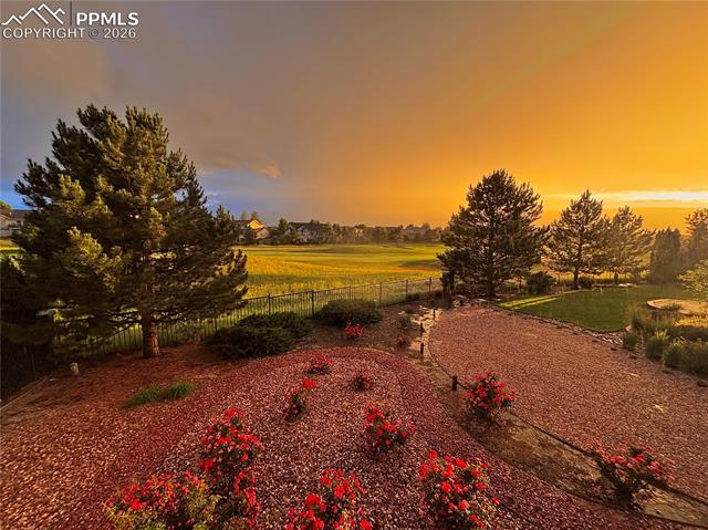 MLS Image for 10190  Pine Glade  ,Colorado Springs, Colorado