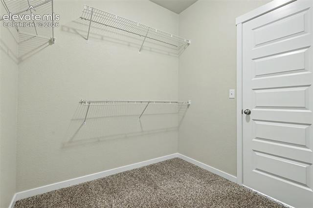 MLS Image for 1358  Celtic  ,Colorado Springs, Colorado