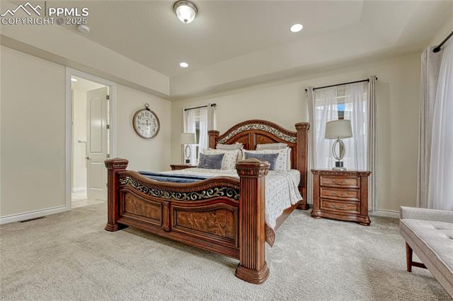 MLS Image for 13190  Stone Peaks  ,Peyton, Colorado