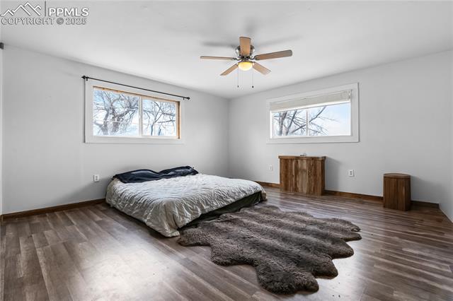 MLS Image for 21887  Jones  ,Peyton, Colorado