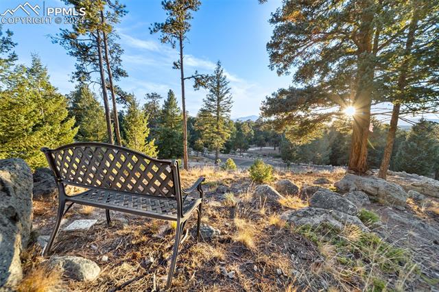 MLS Image for 4450  Walker Ridge  ,Colorado Springs, Colorado