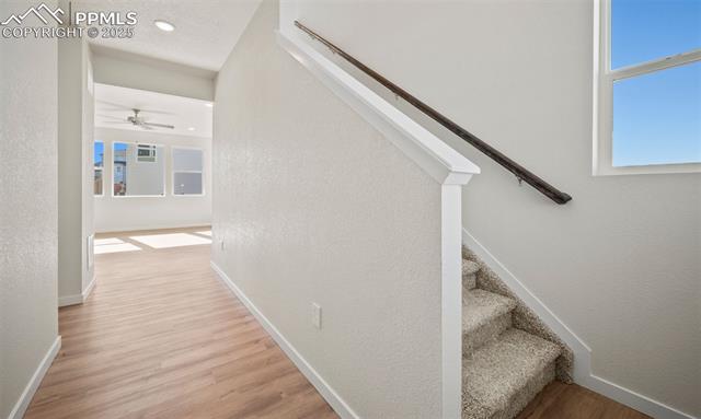 MLS Image for 11951  Lake Trout  ,Colorado Springs, Colorado