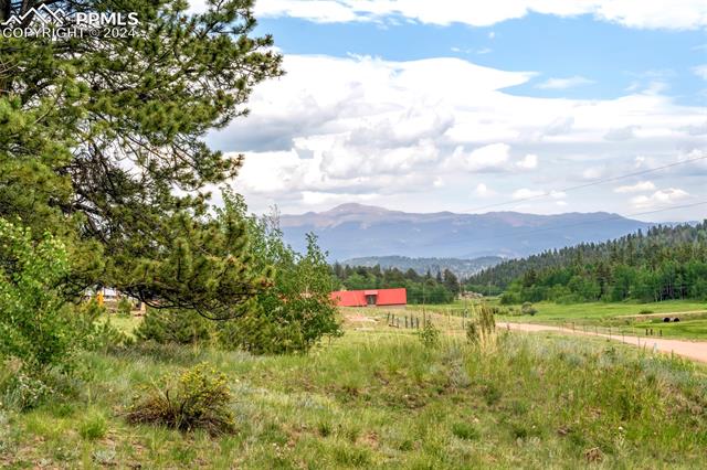 MLS Image for 29  Deerfield  ,Florissant, Colorado