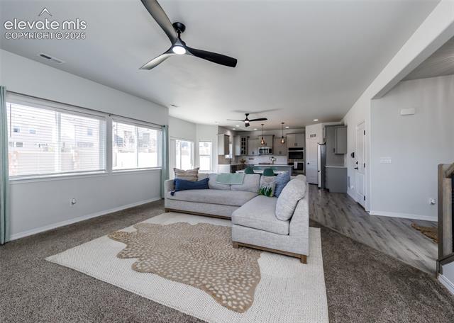 MLS Image for 4624  Halite  ,Colorado Springs, Colorado