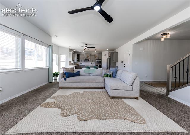 MLS Image for 4624  Halite  ,Colorado Springs, Colorado