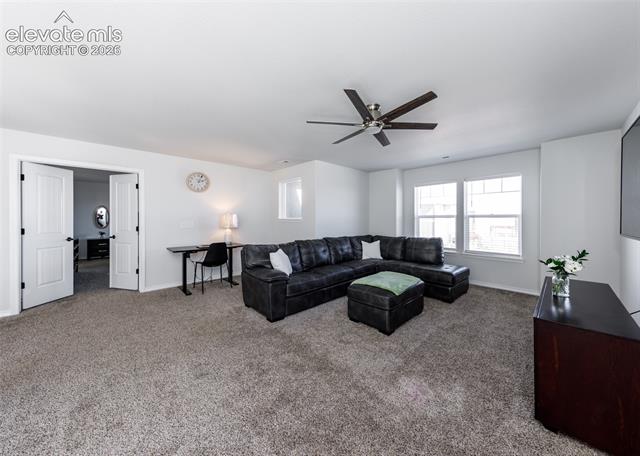 MLS Image for 4624  Halite  ,Colorado Springs, Colorado
