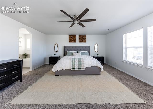 MLS Image for 4624  Halite  ,Colorado Springs, Colorado