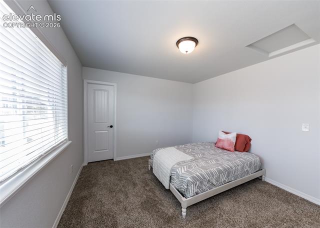 MLS Image for 4624  Halite  ,Colorado Springs, Colorado