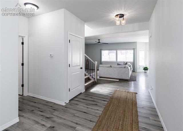 MLS Image for 4624  Halite  ,Colorado Springs, Colorado