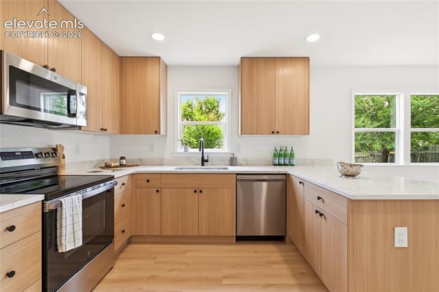 MLS Image for 2744  Ron  ,Colorado Springs, Colorado