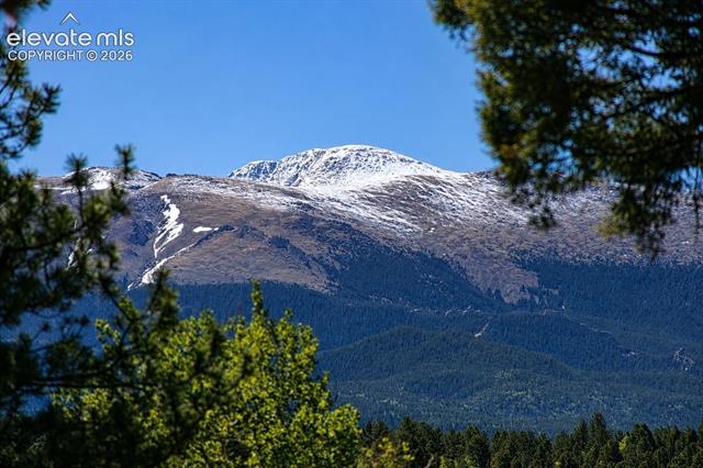 MLS Image for 494  Lost Lake  ,Divide, Colorado