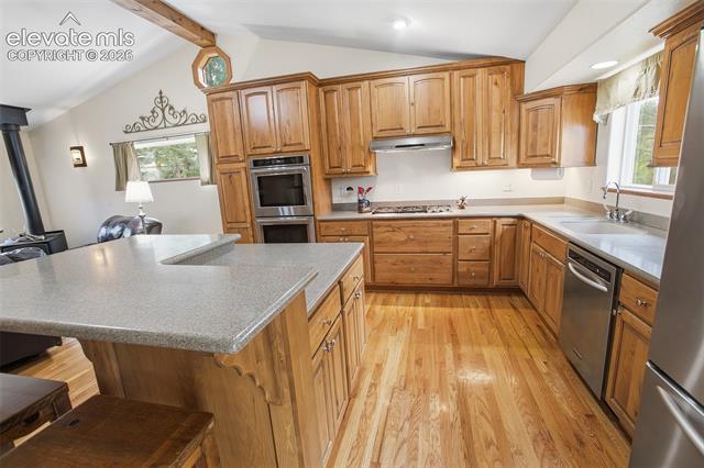 MLS Image for 494  Lost Lake  ,Divide, Colorado