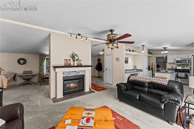 MLS Image for 146  Kokwapy  ,Florissant, Colorado