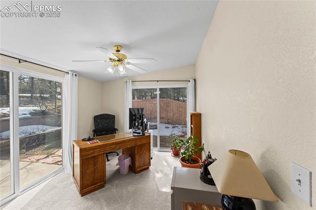 MLS Image for 146  Kokwapy  ,Florissant, Colorado