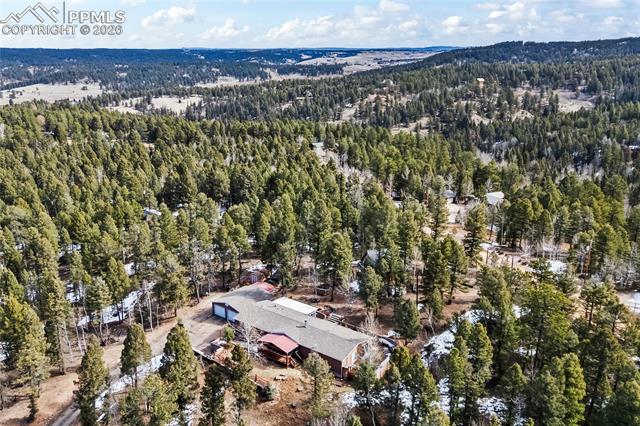 MLS Image for 146  Kokwapy  ,Florissant, Colorado