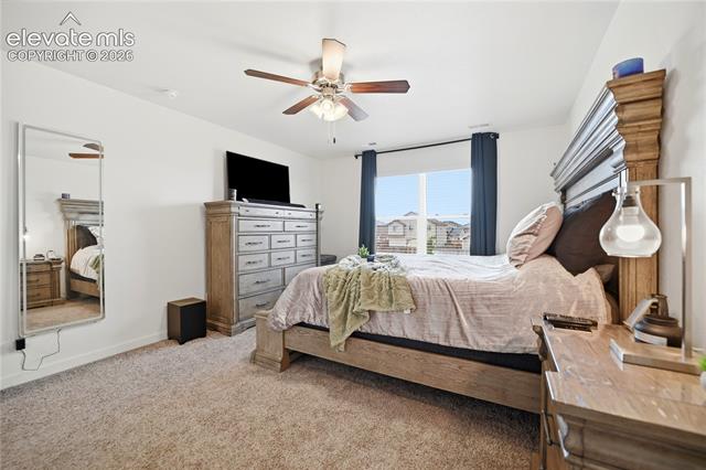 MLS Image for 10152  Castor  ,Colorado Springs, Colorado