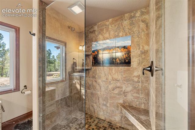 MLS Image for 131  Paradiso  ,Divide, Colorado