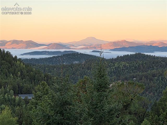 MLS Image for 131  Paradiso  ,Divide, Colorado