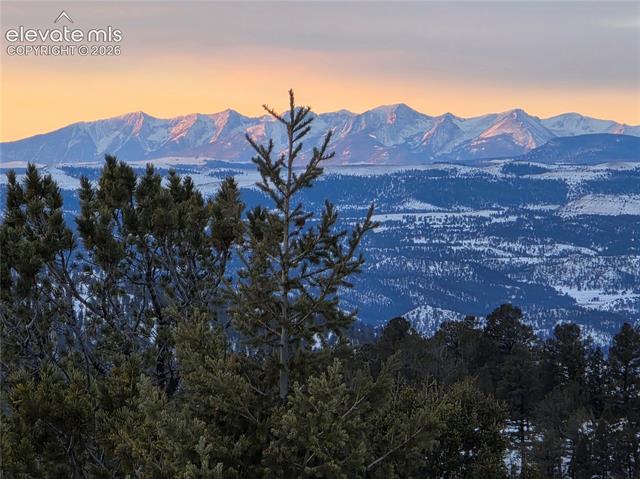MLS Image for 131  Paradiso  ,Divide, Colorado