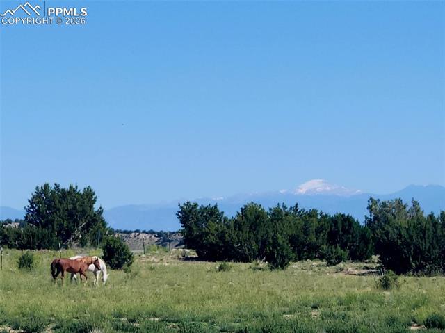 MLS Image for 7480  Red Creek Springs  ,Pueblo, Colorado