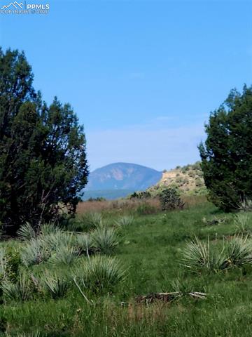 MLS Image for 7480  Red Creek Springs  ,Pueblo, Colorado