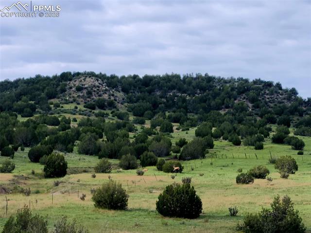 MLS Image for 7480  Red Creek Springs  ,Pueblo, Colorado