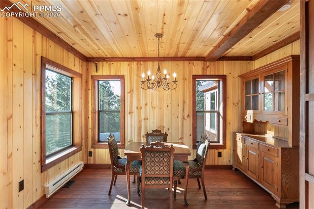 MLS Image for 714  Woodrock  ,Divide, Colorado