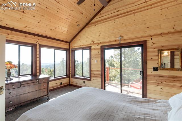 MLS Image for 714  Woodrock  ,Divide, Colorado