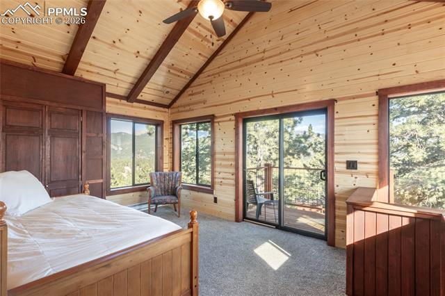 MLS Image for 714  Woodrock  ,Divide, Colorado