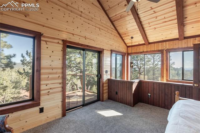 MLS Image for 714  Woodrock  ,Divide, Colorado