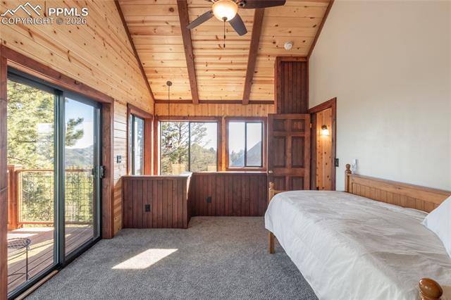 MLS Image for 714  Woodrock  ,Divide, Colorado