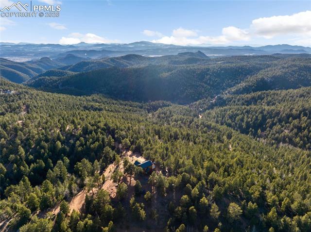 MLS Image for 714  Woodrock  ,Divide, Colorado