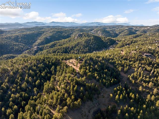MLS Image for 714  Woodrock  ,Divide, Colorado