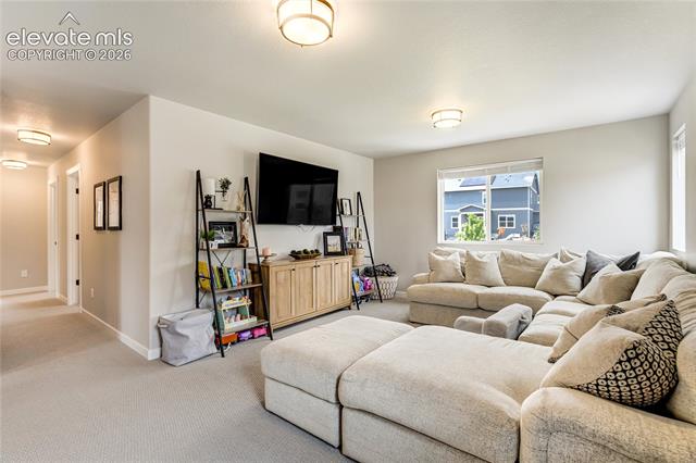 MLS Image for 10249  Guild  ,Colorado Springs, Colorado