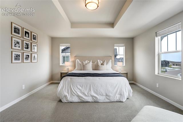 MLS Image for 10249  Guild  ,Colorado Springs, Colorado