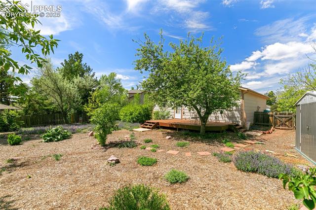 MLS Image for 3870  Chinawood  ,Colorado Springs, Colorado