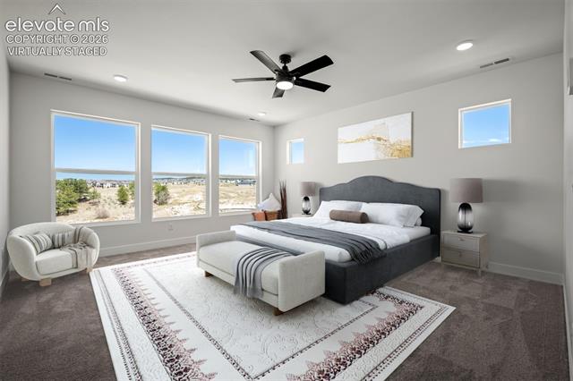 MLS Image for 9000  Frolic  ,Colorado Springs, Colorado