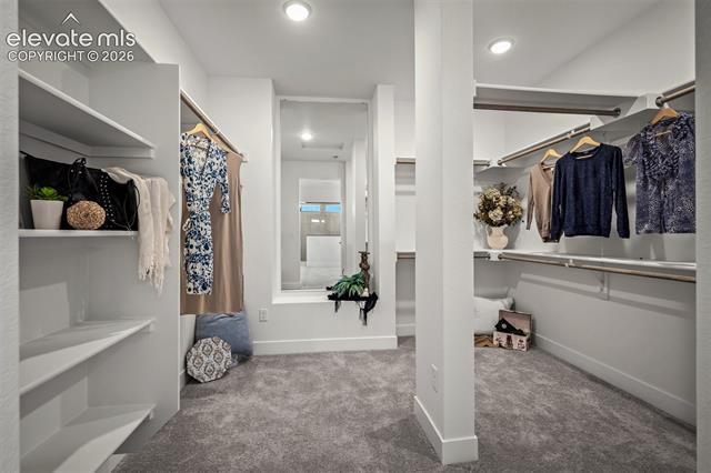 MLS Image for 9000  Frolic  ,Colorado Springs, Colorado