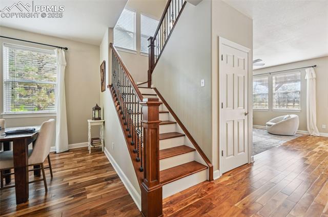 MLS Image for 8445  Jacks Fork  ,Colorado Springs, Colorado