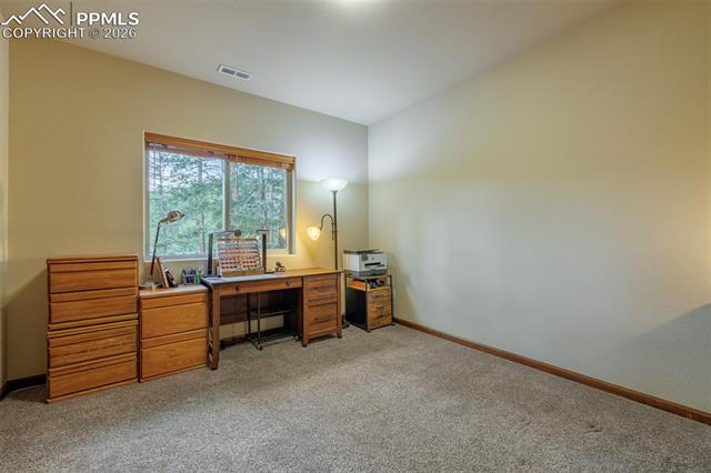 MLS Image for 135  Cirrus  ,Woodland Park, Colorado