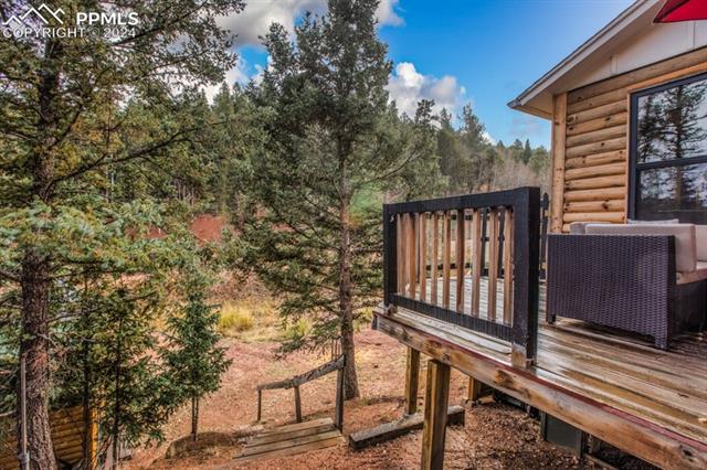 MLS Image for 361  Willow  ,Divide, Colorado