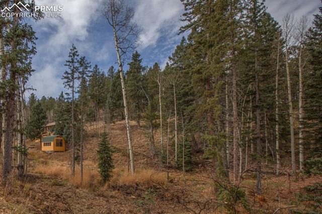 MLS Image for 361  Willow  ,Divide, Colorado