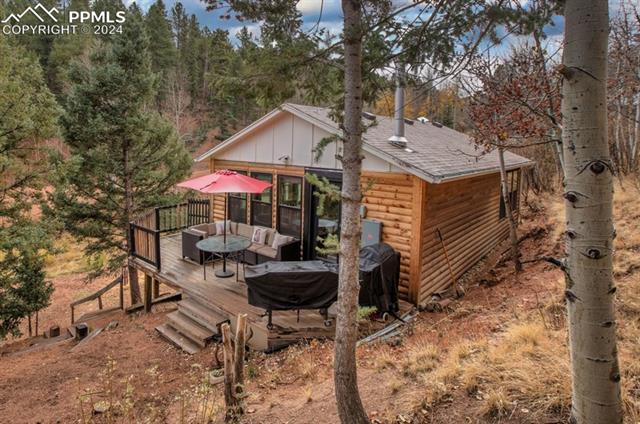 MLS Image for 361  Willow  ,Divide, Colorado