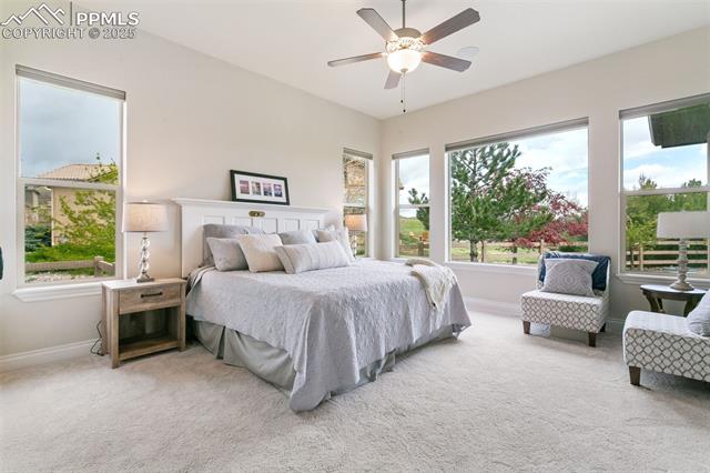 MLS Image for 1609  Yellow Tail  ,Colorado Springs, Colorado